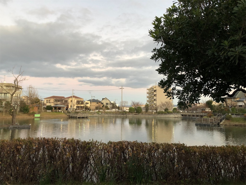 f:id:cassadaga:20190114231227j:image