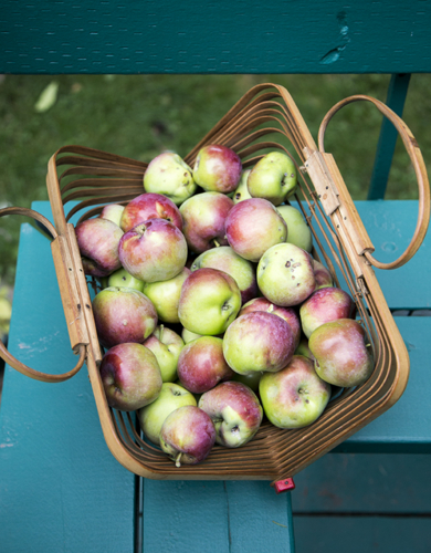 f:id:casse-pied:20161002044220j:plain