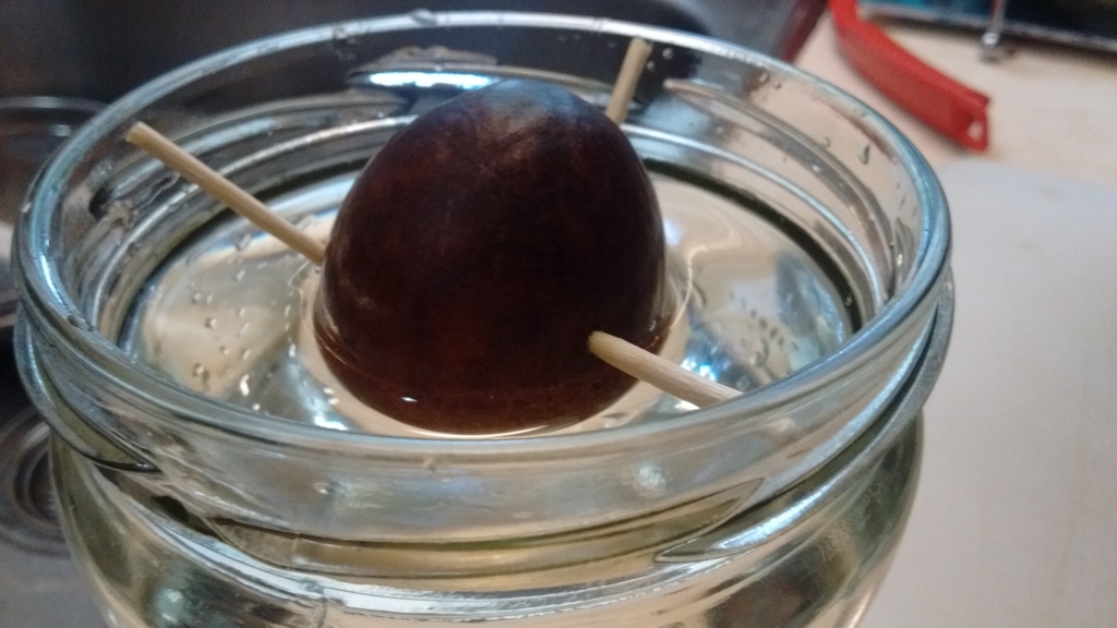 f:id:casse-pied:20170618100044j:plain f:id:casse-pied:20170618100044j:plain