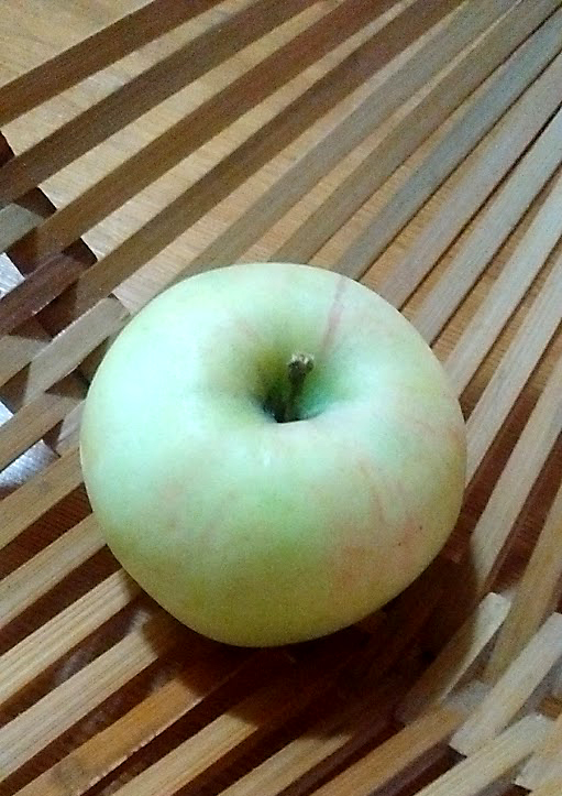 f:id:casse-pied:20171030063850j:plain