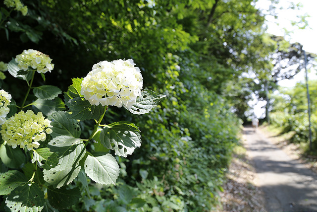 f:id:casse-pied:20171108085413j:plain