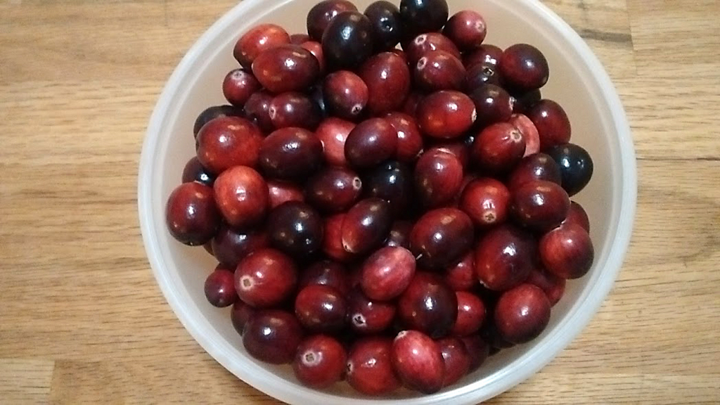 f:id:casse-pied:20171113092320j:plain