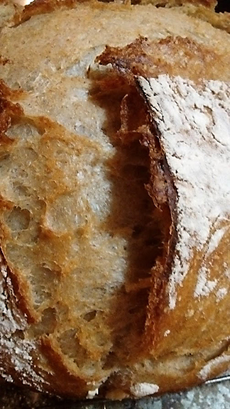 f:id:casse-pied:20180214050852j:plain
