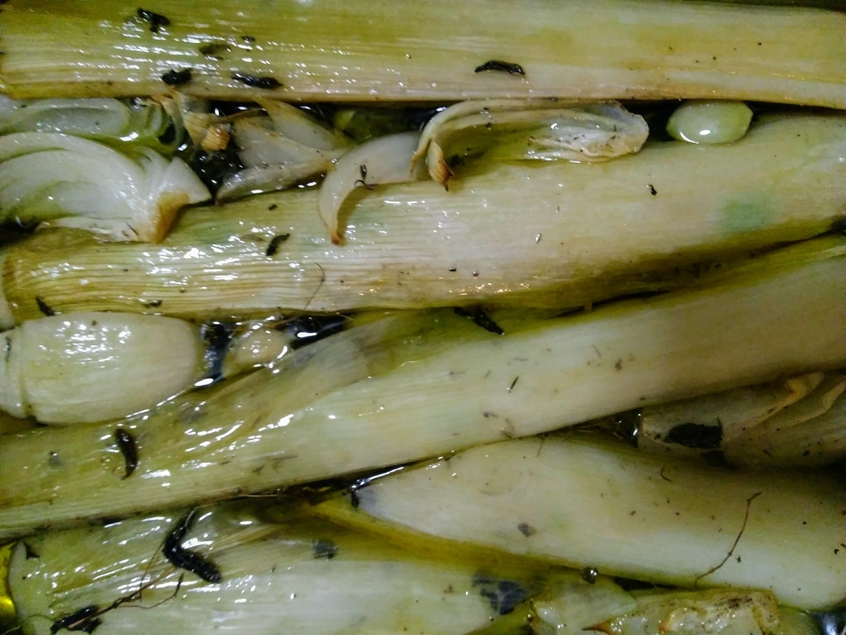 f:id:casse-pied:20191114090113j:plain