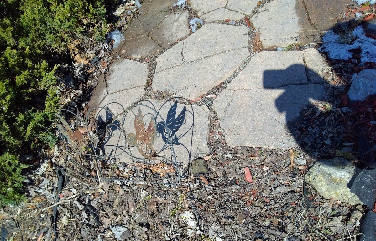 f:id:casse-pied:20200317082907j:plain f:id:casse-pied:20200317082907j:plain