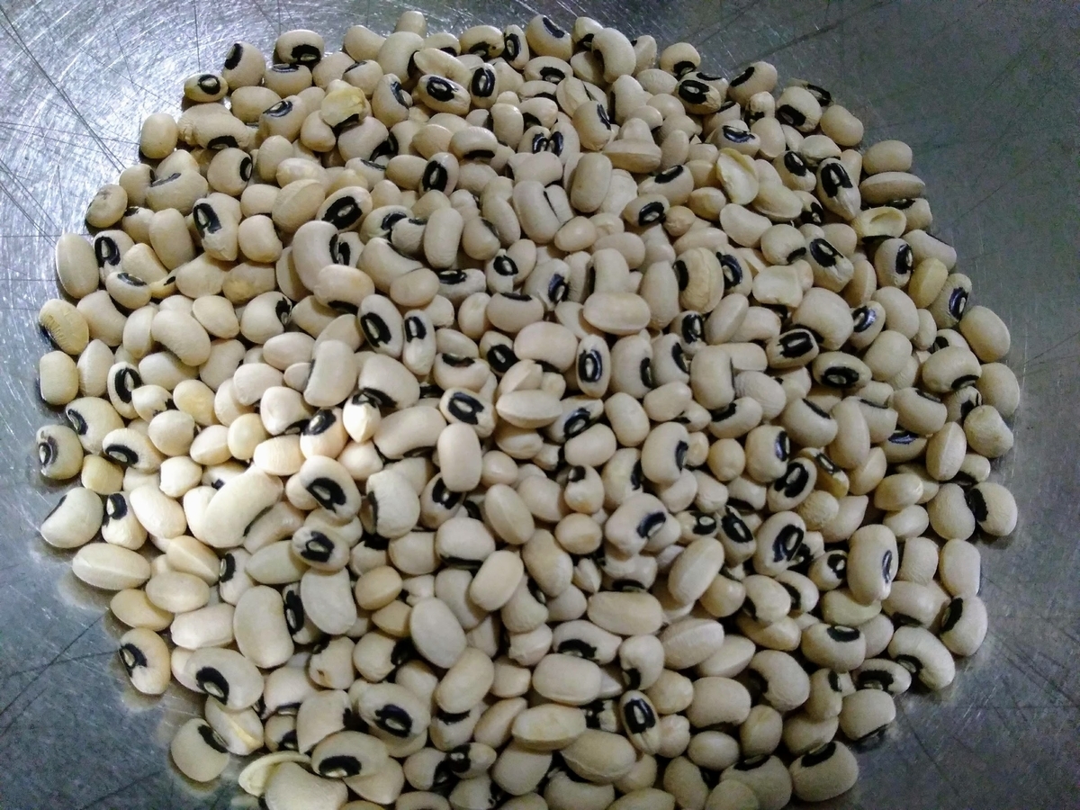 f:id:casse-pied:20200604073143j:plain f:id:casse-pied:20200604073143j:plain