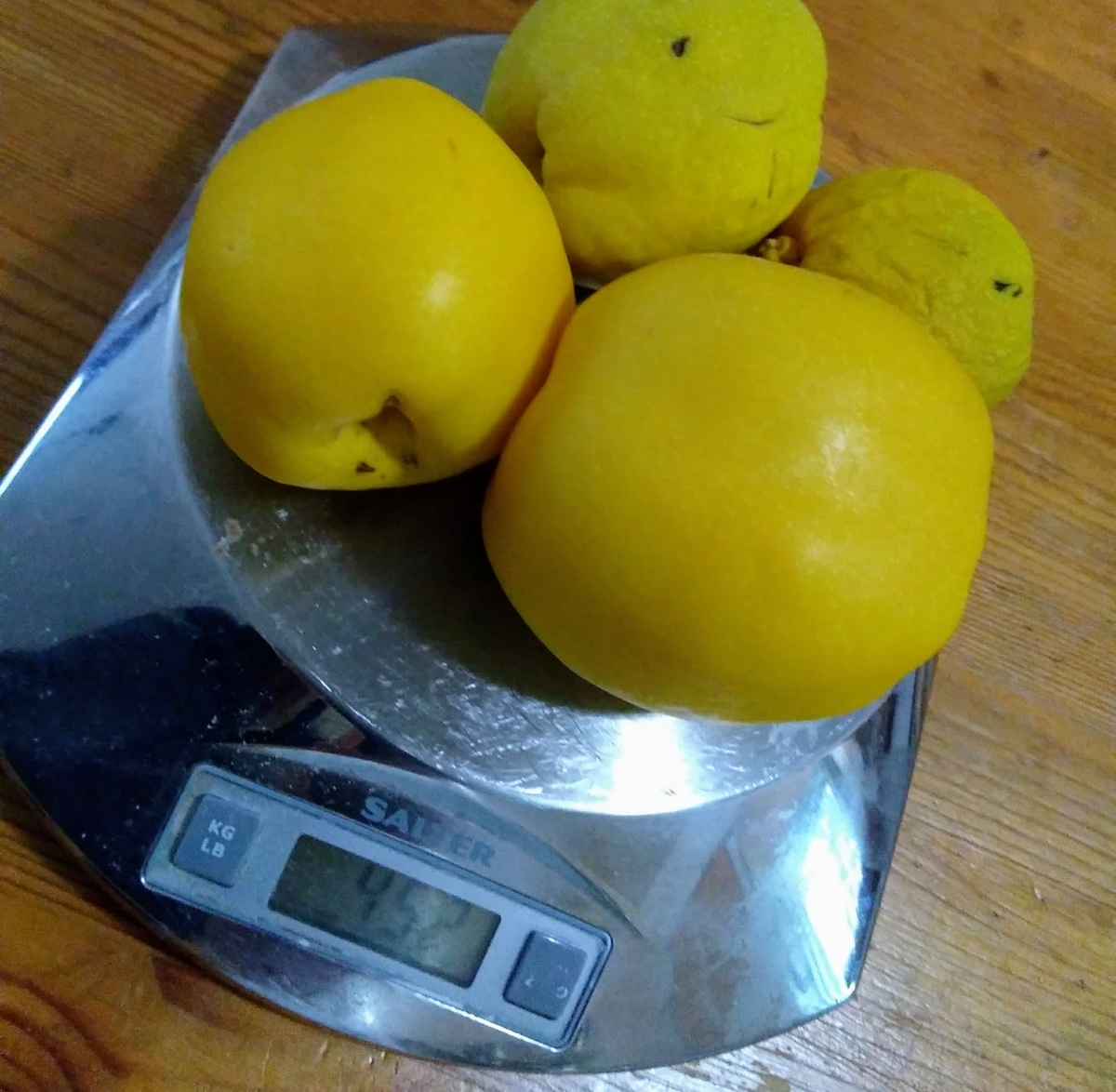f:id:casse-pied:20201013011537j:plain