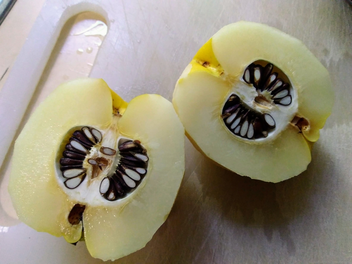 f:id:casse-pied:20201013083549j:plain