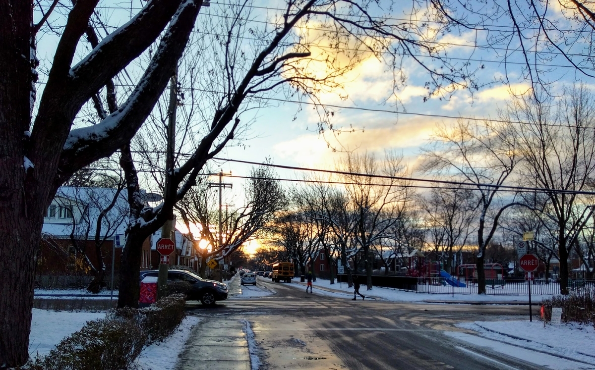 f:id:casse-pied:20201214031206j:plain