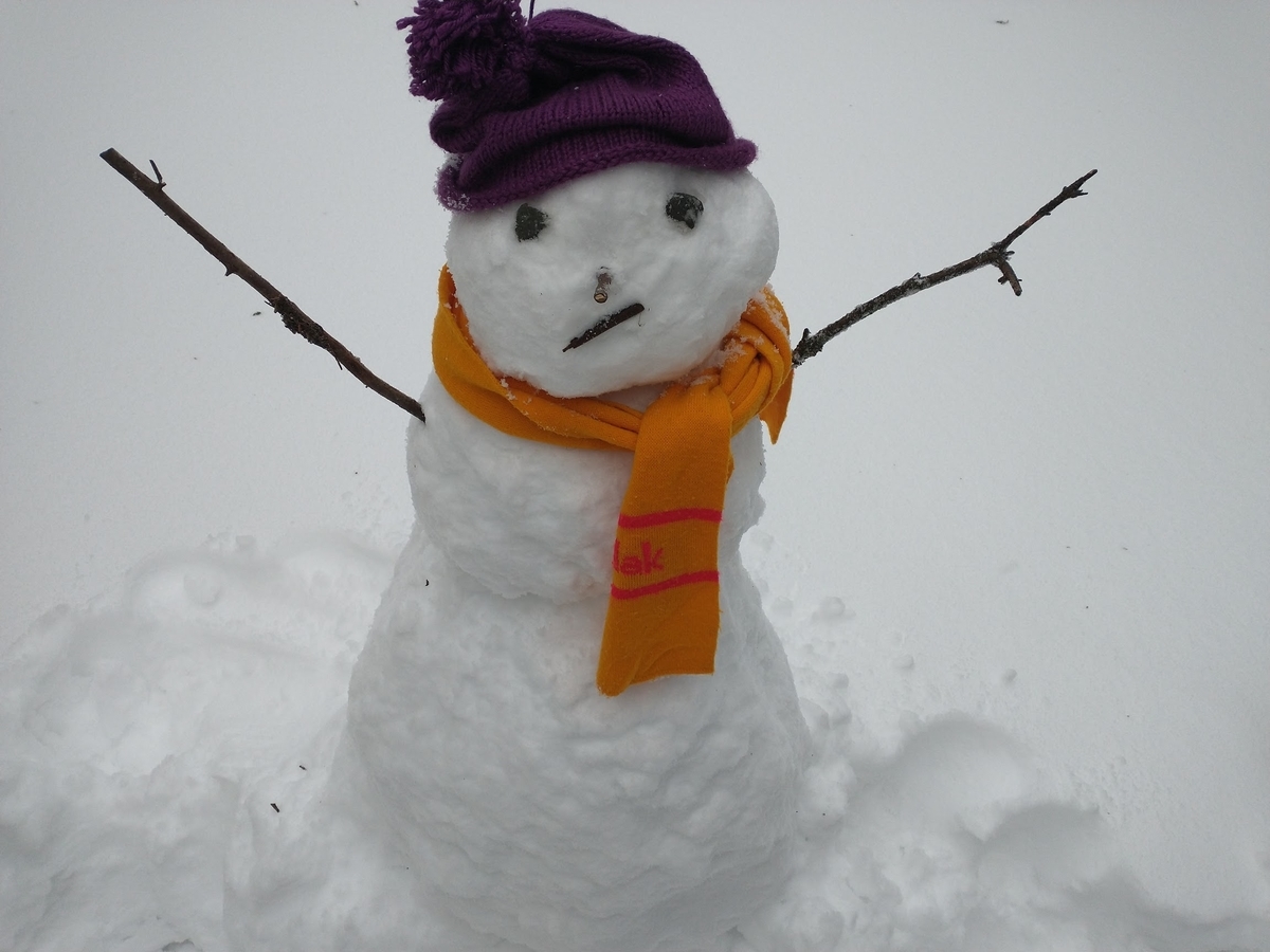 f:id:casse-pied:20210204105628j:plain