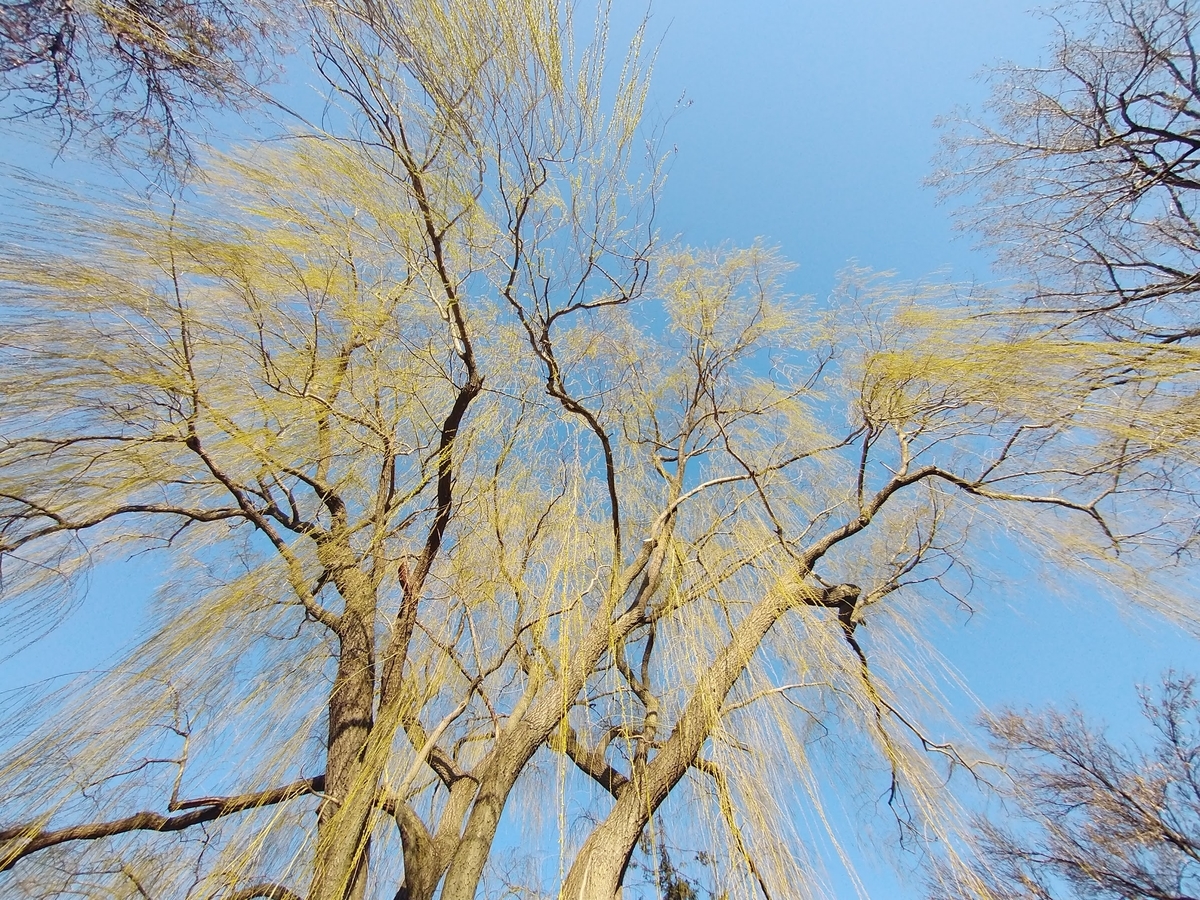 差別行為とは 一般の人気 最新記事を集めました はてな