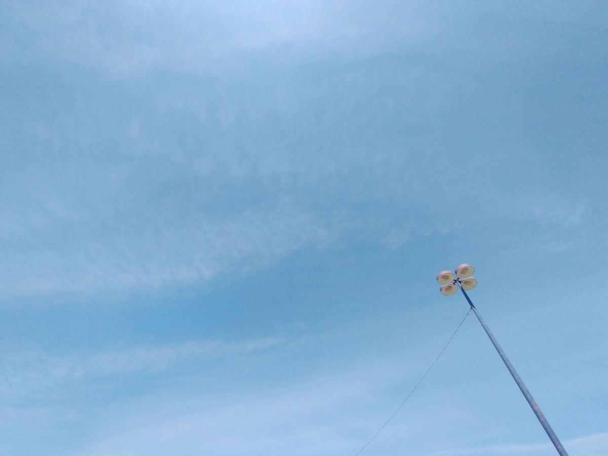 アクアファバでヴィーガンマヨ第二弾 追記あり 食いしん坊 北米でヴィーガンになる アクアファバでヴィーガンマヨ第二弾 追記あり 食いしん坊 北米でヴィーガンになる