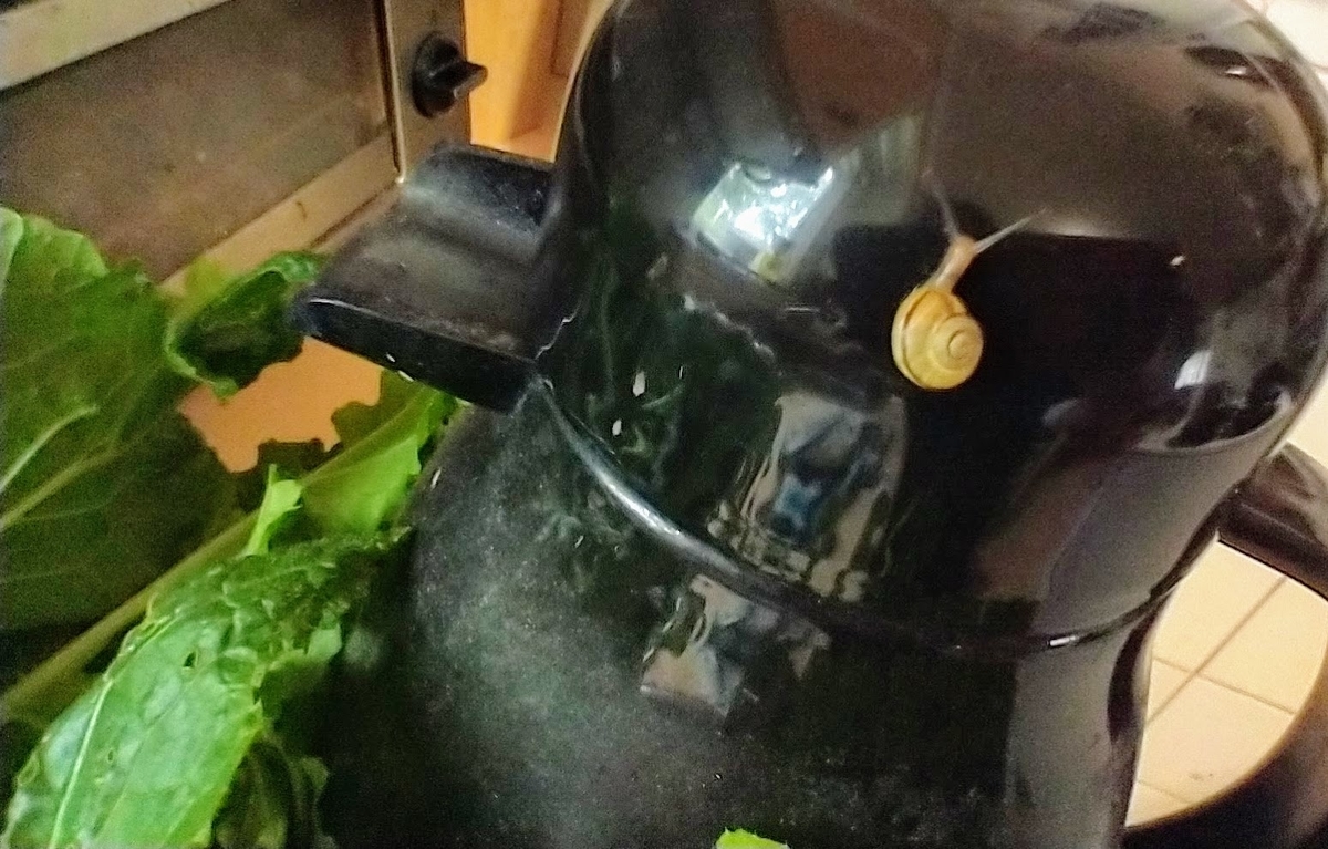 f:id:casse-pied:20211004033839j:plain