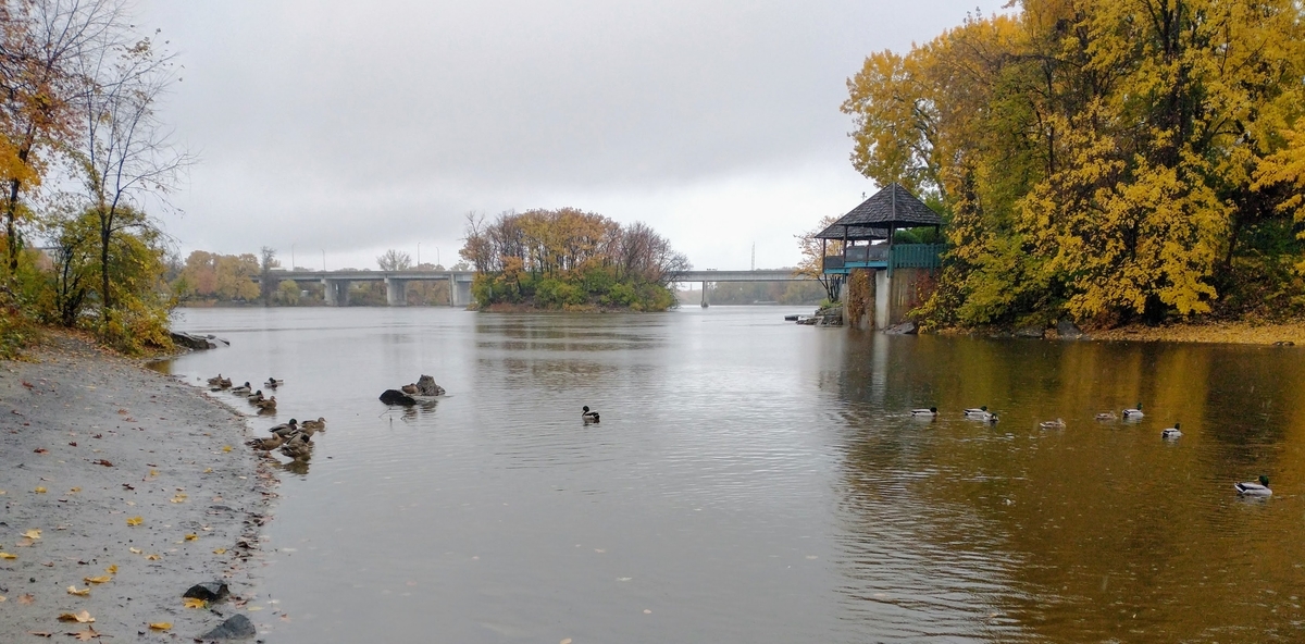 f:id:casse-pied:20211102071452j:plain