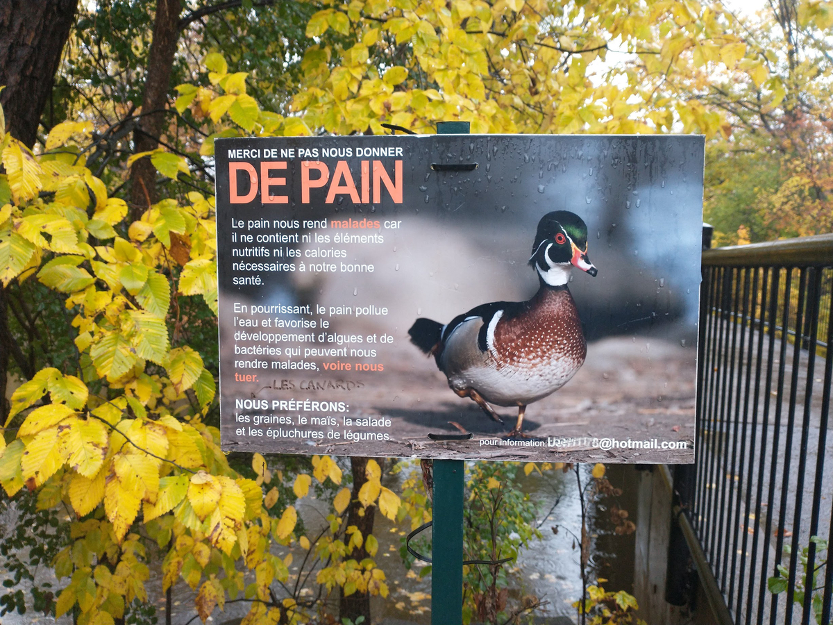 f:id:casse-pied:20211103021711j:plain