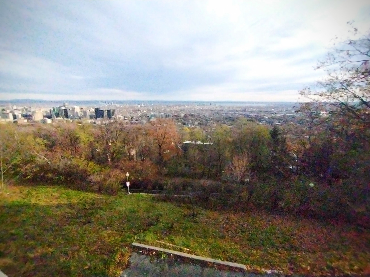 f:id:casse-pied:20211122053803j:plain