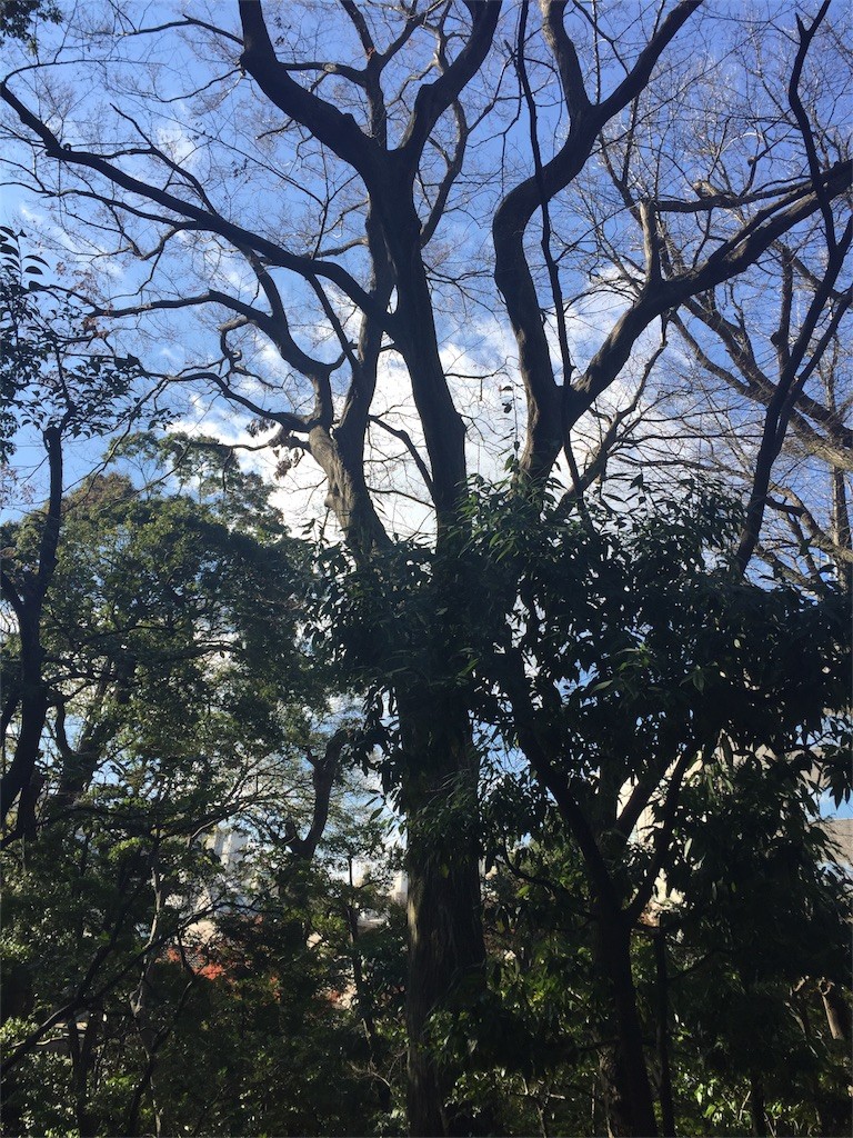 f:id:cassini:20161218153920j:image