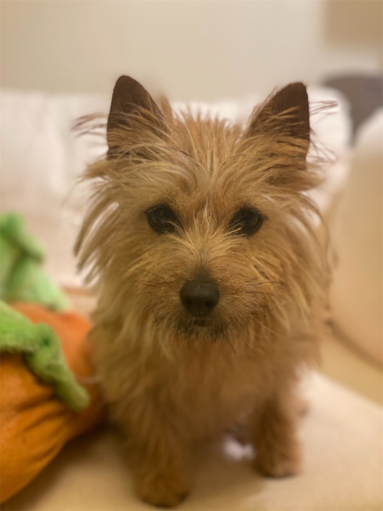 f:id:cassini:20210305184538j:image f:id:cassini:20210305184538j:image