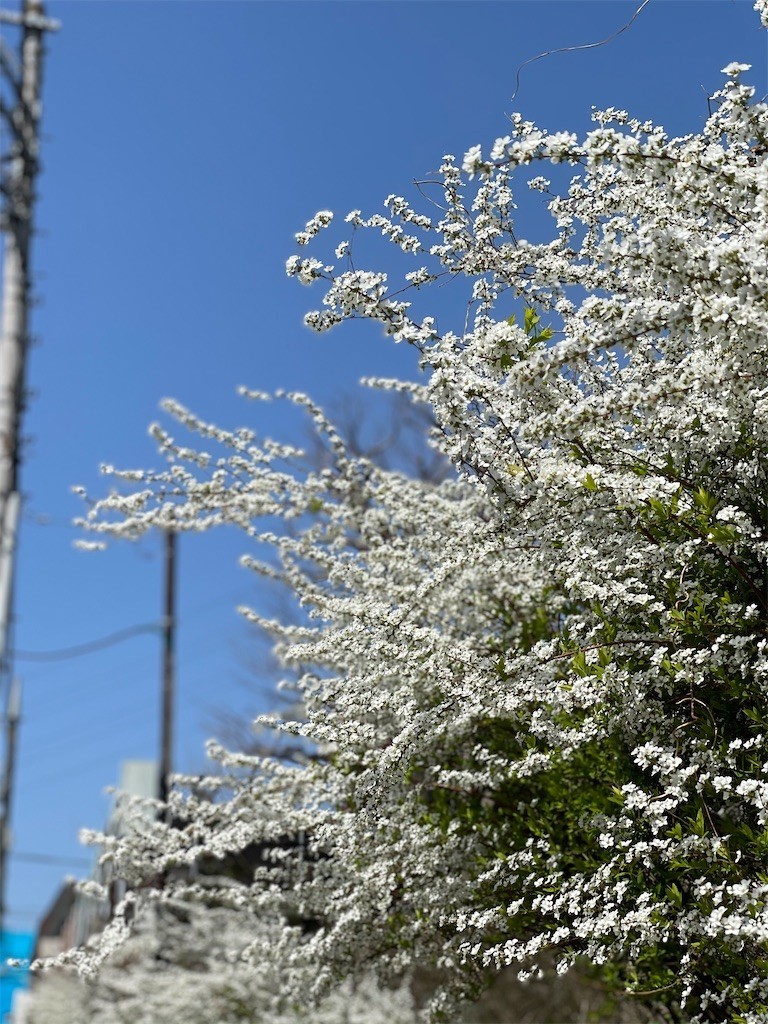 f:id:cassini:20210318200532j:image