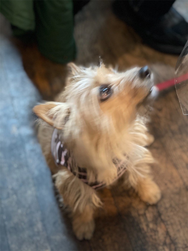 f:id:cassini:20210320212756j:image f:id:cassini:20210320212756j:image