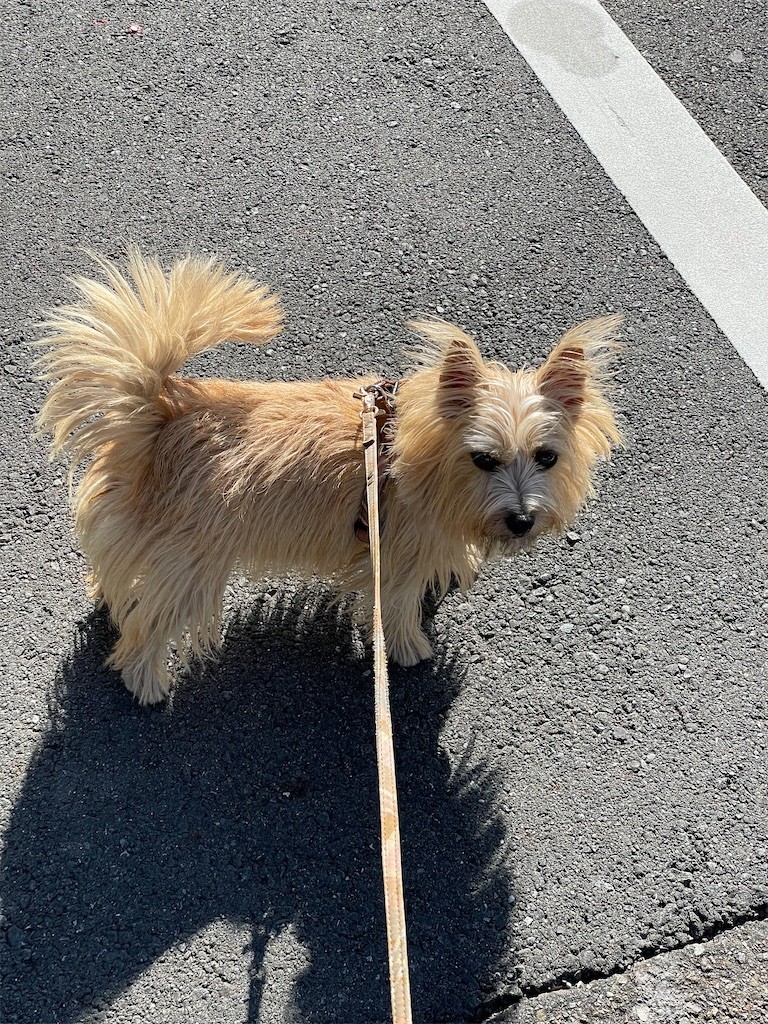 f:id:cassini:20211030213914j:image