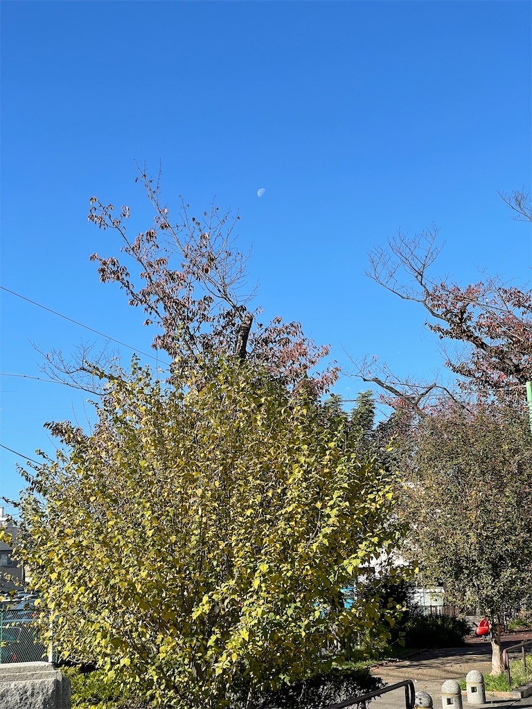 f:id:cassini:20211127221735j:image f:id:cassini:20211127221735j:image