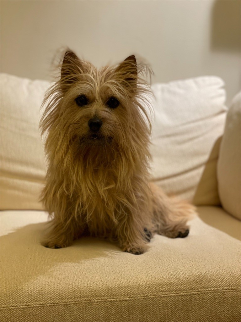 f:id:cassini:20220131191203j:image