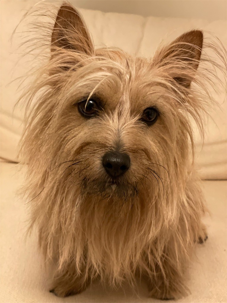 f:id:cassini:20220228220303j:image