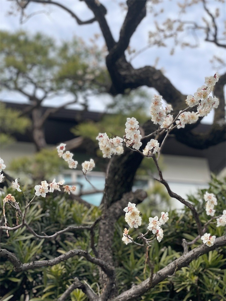 f:id:cassini:20220228220305j:image