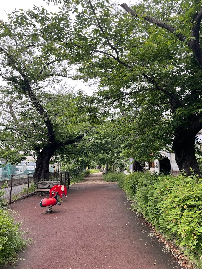 f:id:cassini:20220517200827j:image