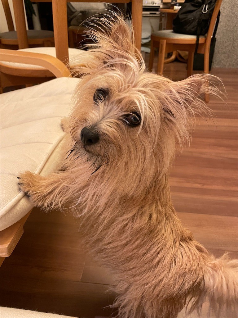 f:id:cassini:20220517200830j:image