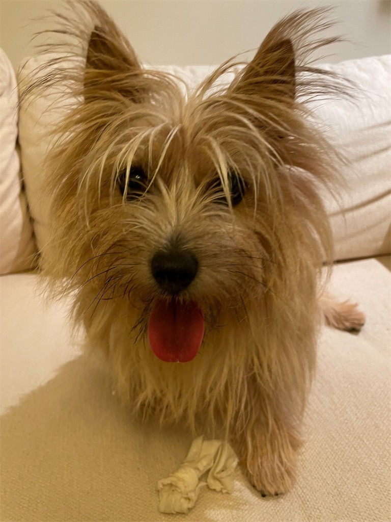 f:id:cassini:20220727200423j:image