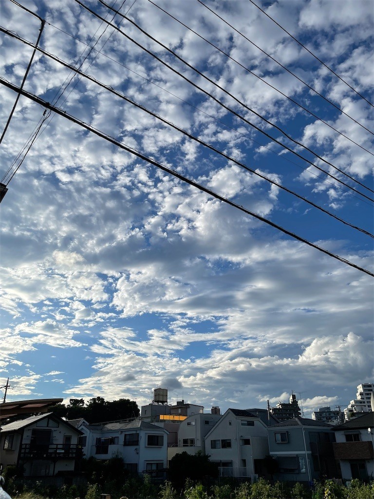 f:id:cassini:20220727200426j:image