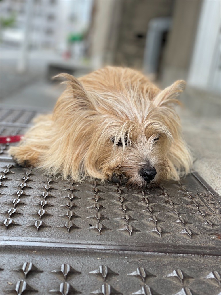 f:id:cassini:20220817195651j:image