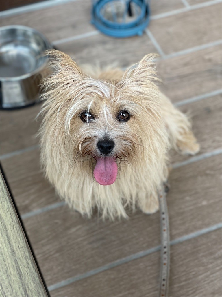 f:id:cassini:20220828201441j:image f:id:cassini:20220828201441j:image