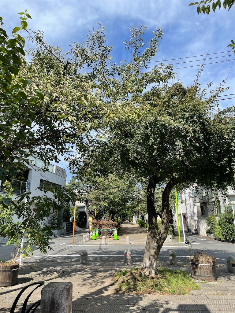 f:id:cassini:20221011210010j:image