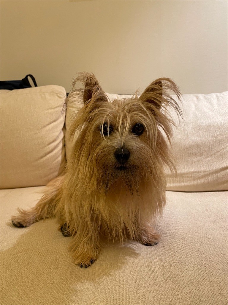 f:id:cassini:20221011210013j:image