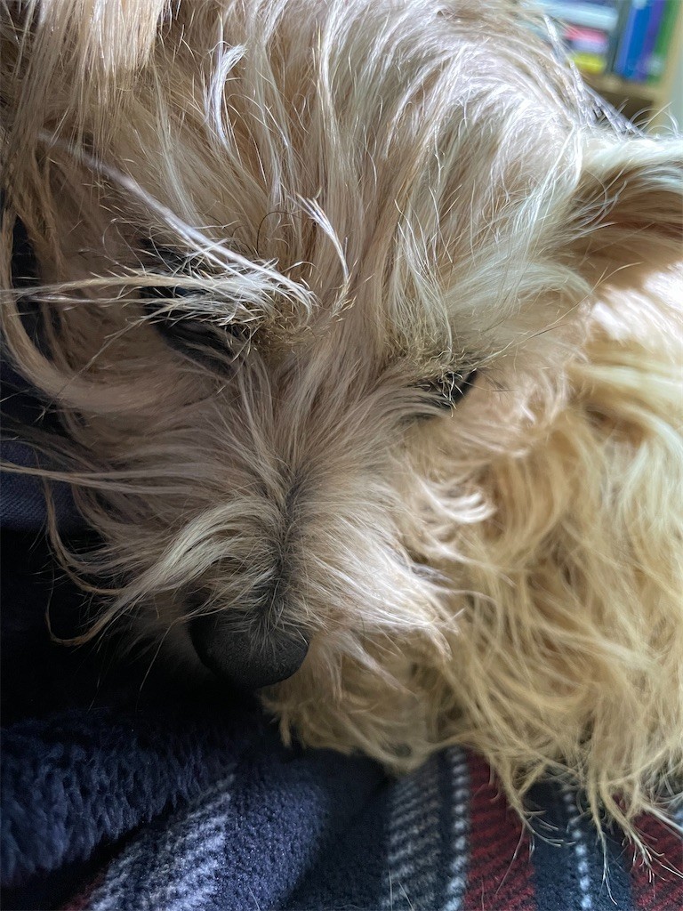 f:id:cassini:20221223224659j:image f:id:cassini:20221223224659j:image