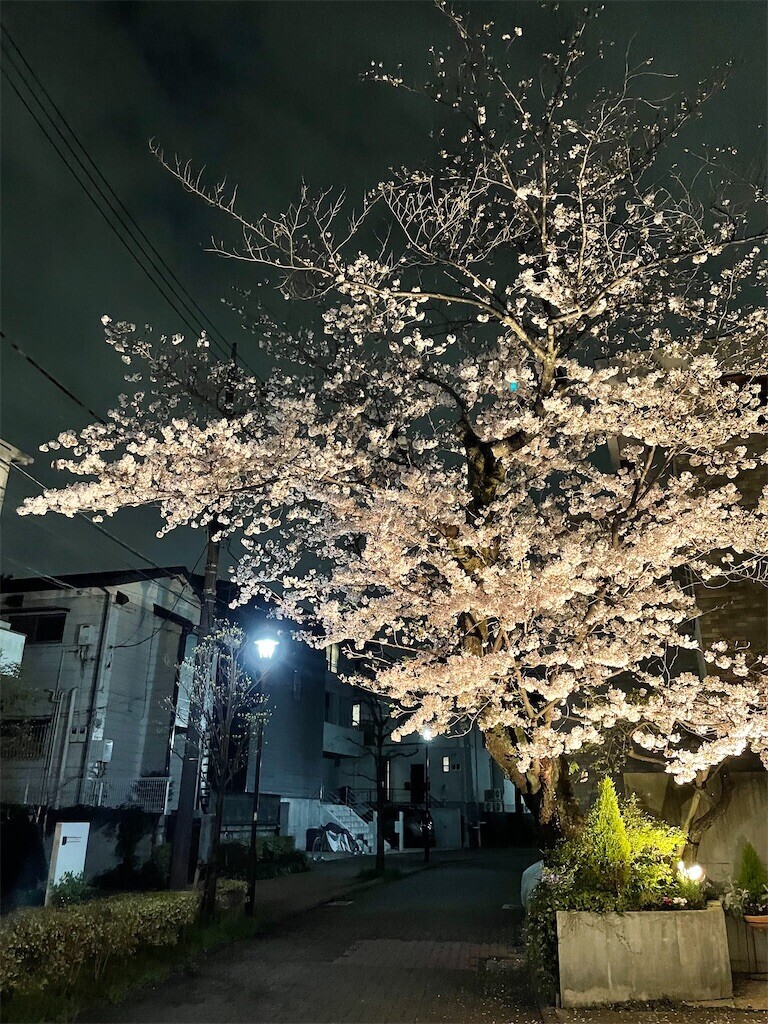 f:id:cassini:20230329001920j:image