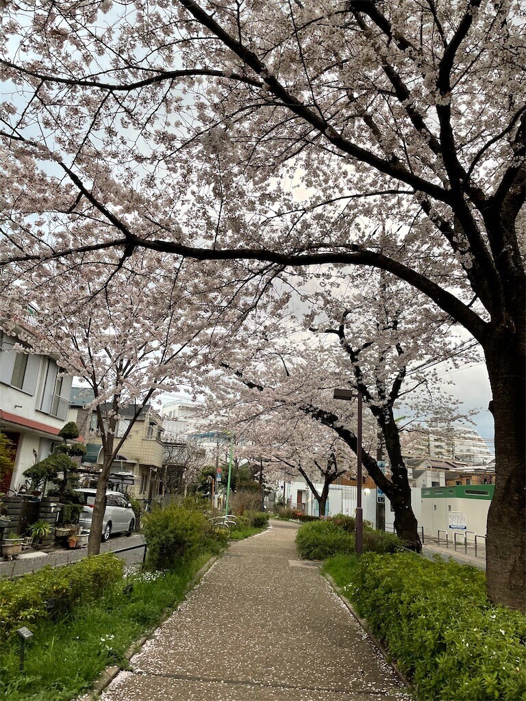 f:id:cassini:20230329215954j:image f:id:cassini:20230329215954j:image