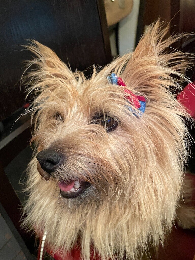 f:id:cassini:20230722214009j:image f:id:cassini:20230722214009j:image