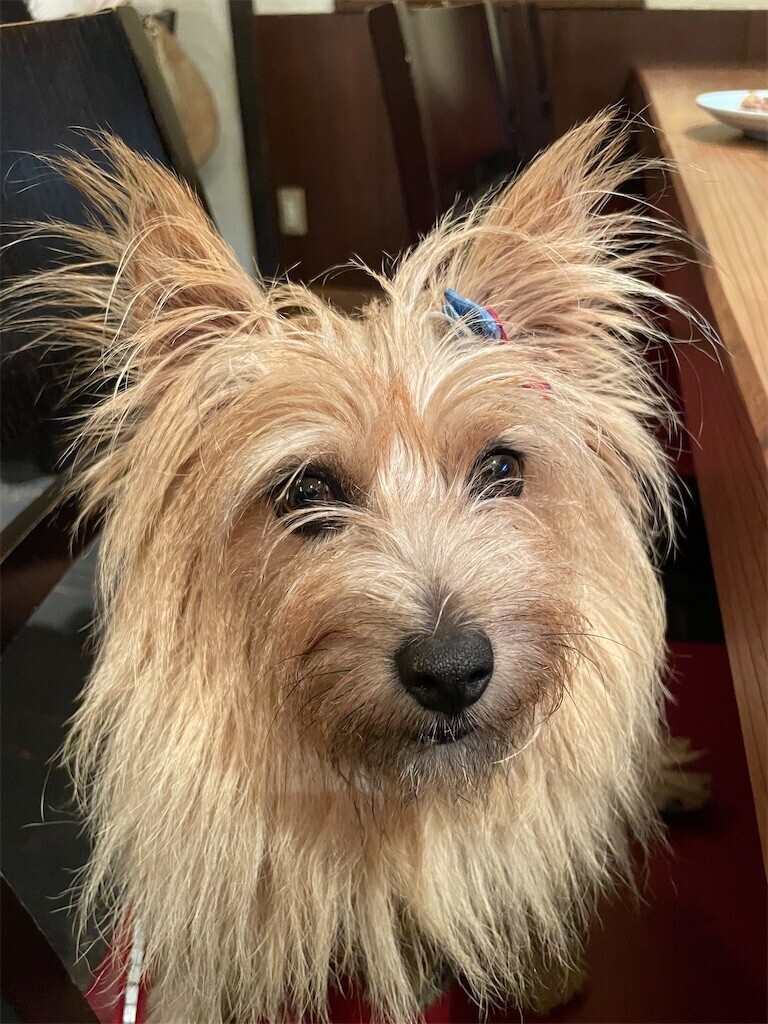 f:id:cassini:20230722214012j:image f:id:cassini:20230722214012j:image