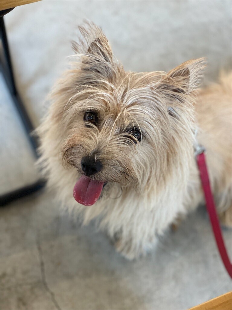 f:id:cassini:20230722214038j:image f:id:cassini:20230722214038j:image