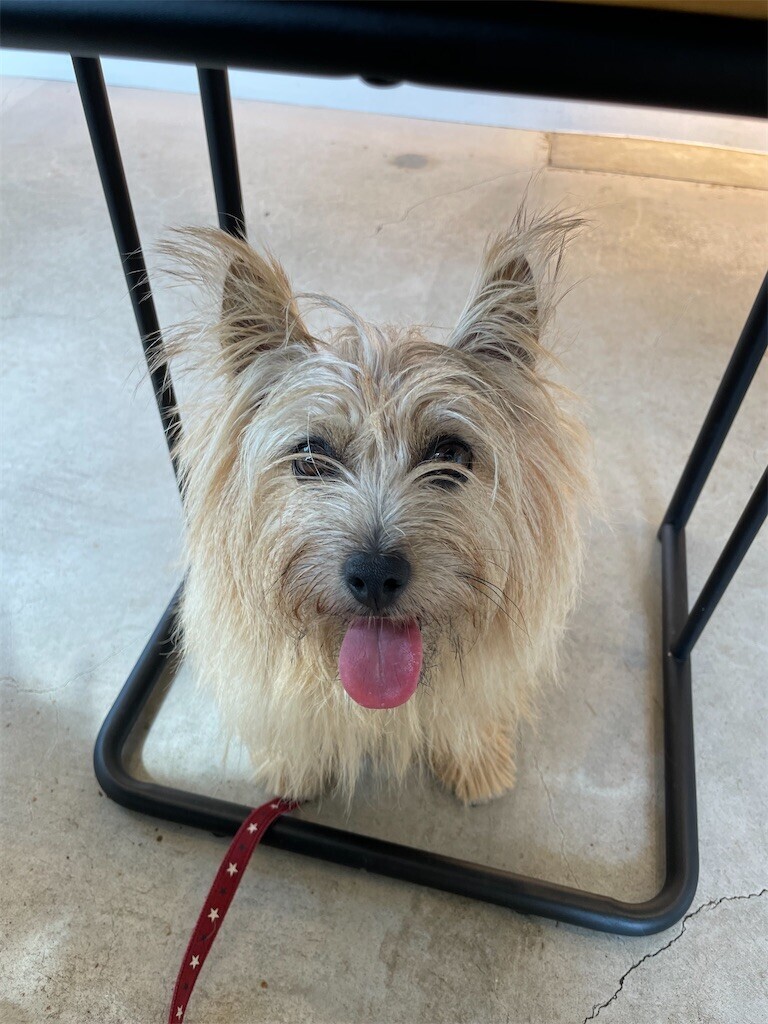 f:id:cassini:20230814232500j:image