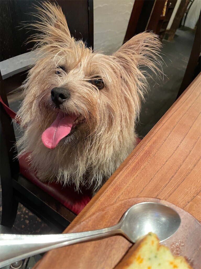 f:id:cassini:20230827210903j:image f:id:cassini:20230827210903j:image