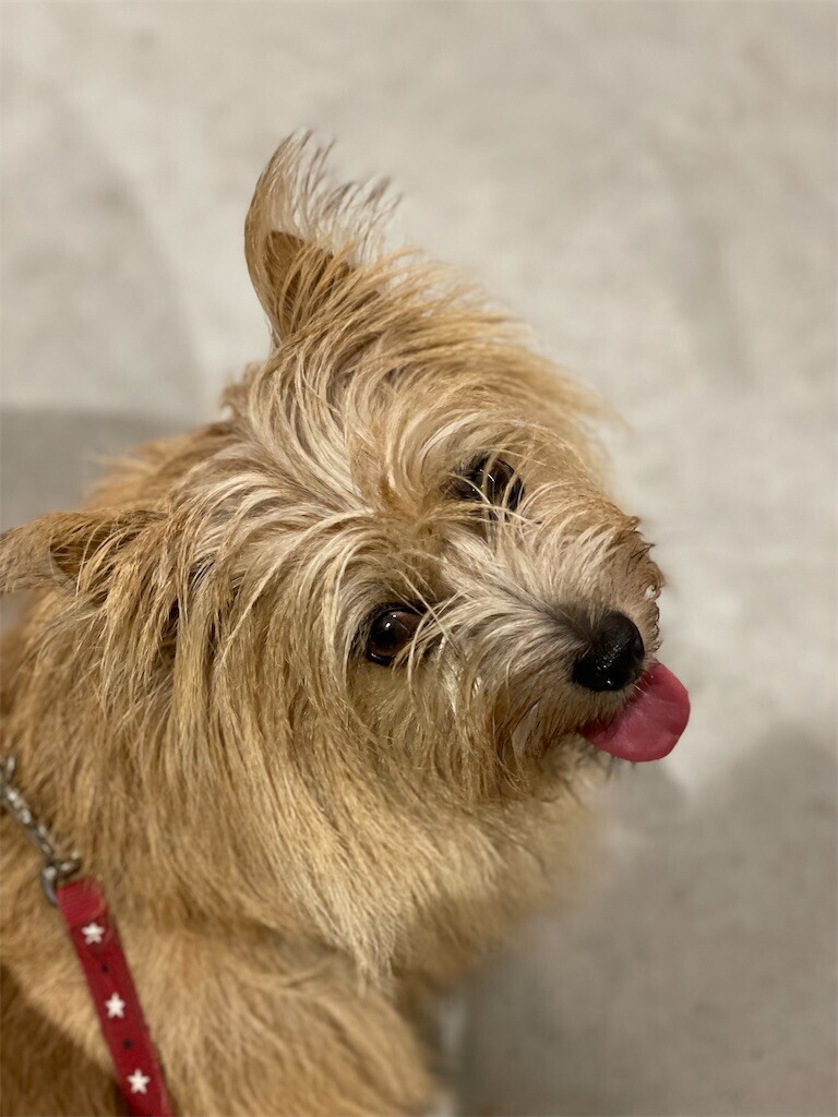 f:id:cassini:20230827211014j:image f:id:cassini:20230827211014j:image