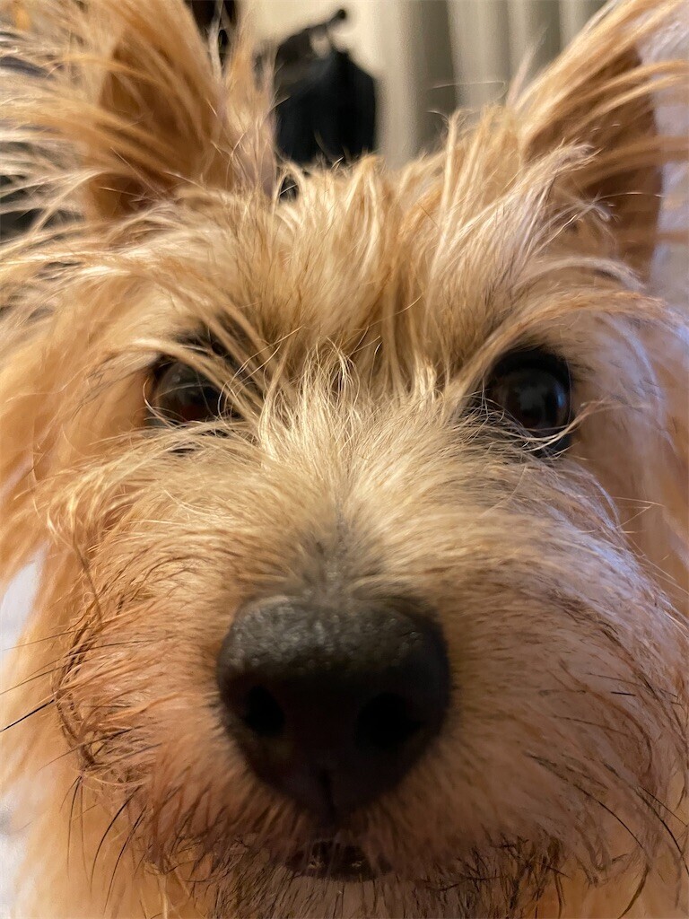 f:id:cassini:20230920211322j:image