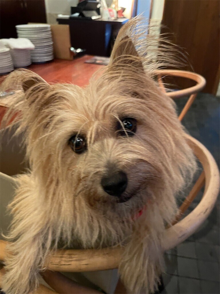 f:id:cassini:20230930224447j:image