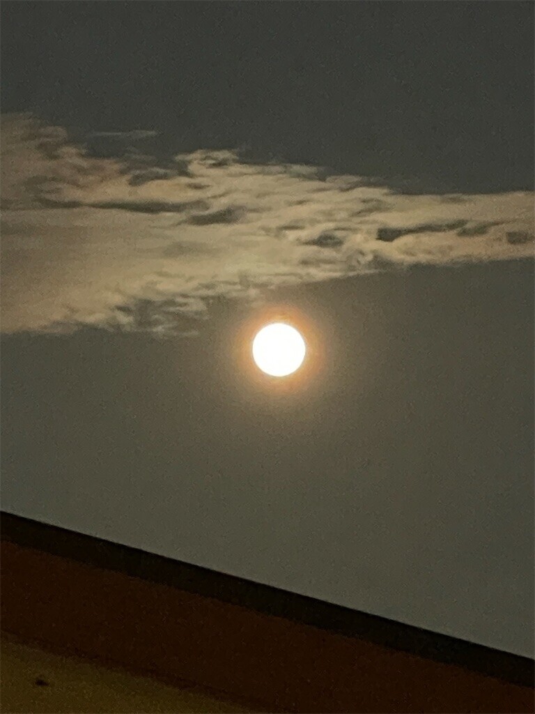 f:id:cassini:20231028200258j:image