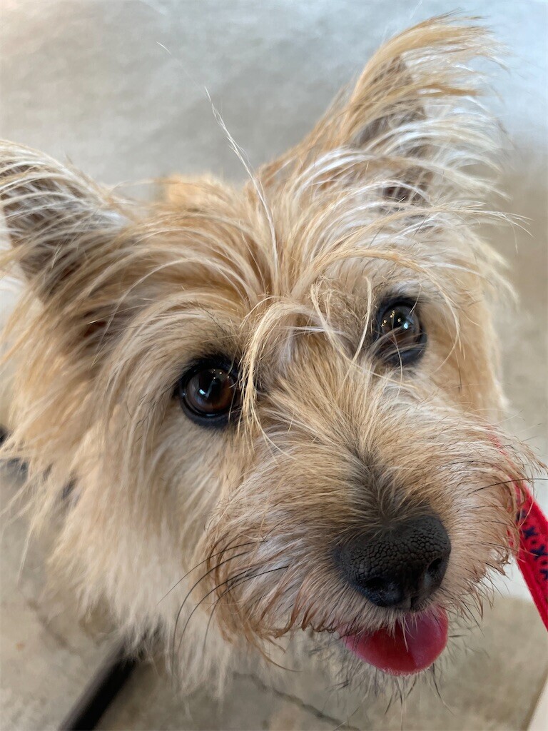 f:id:cassini:20231028200301j:image